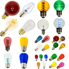 Festival Light Bulbs