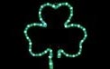 St. Patrick's Day Rope Lights