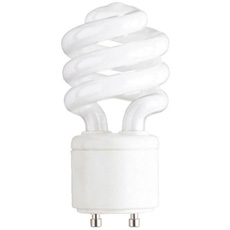 Compact Fluorescent Light Bulbs