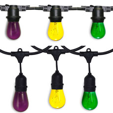 Mardi Gras All-In-One String Light Kits