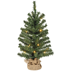 2' Pre-Lit Colorado Spruce Christmas Tree