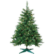 2' Pre-Lit Colorado Spruce Christmas Tree