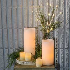 17" White Lighted Branch - 20 Warm White LED Lights