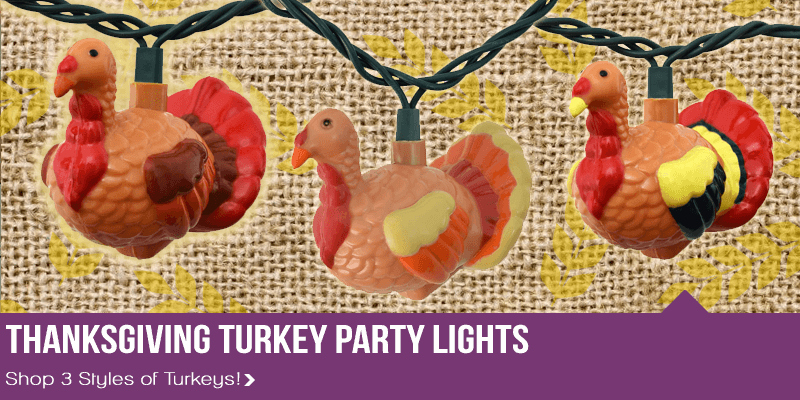 Party & String Lights for Holidays - Commercial Globe String Lights - Outdoor & LED