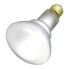 65W R30 Floodlight Bulb