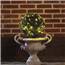 km497216-lumineo-durawise-tree-lights_5