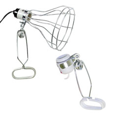 Clamp Lamps