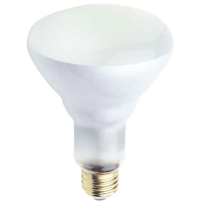 BR30 65 Watt Frost Floodlight Bulb