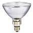 90 Watt Halogen Floodlight Bulb