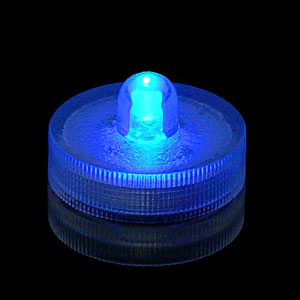 Waterproof Blue LED Submersible Lights