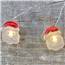 Santa Claus Christmas Fairy Lights - Battery Operated C5537-SANTA