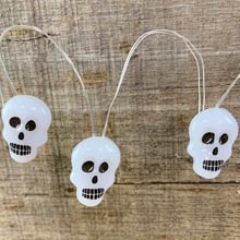 Skull Fairy Lights - Battery Operated HW1738-SKULL