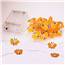 Bumble Bee LED Micro String Lights - Battery Operated  PF-600319