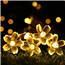20 LED Fairy Light Warm White Cherry Blossom – Battery Operated  PF-600322