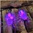 10 Clear Spider Purple Lights - Battery Operated