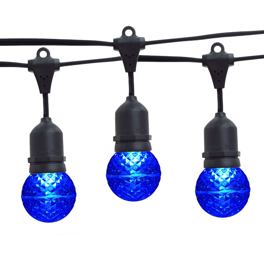 21' Blue LED Globe Light Strand Kit - Black Suspended Wire