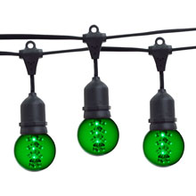 21' Green Designer LED Globe Light Strand Kit - Black Wire