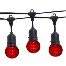 21' Red Designer LED Globe Light Strand Kit - Black Wire