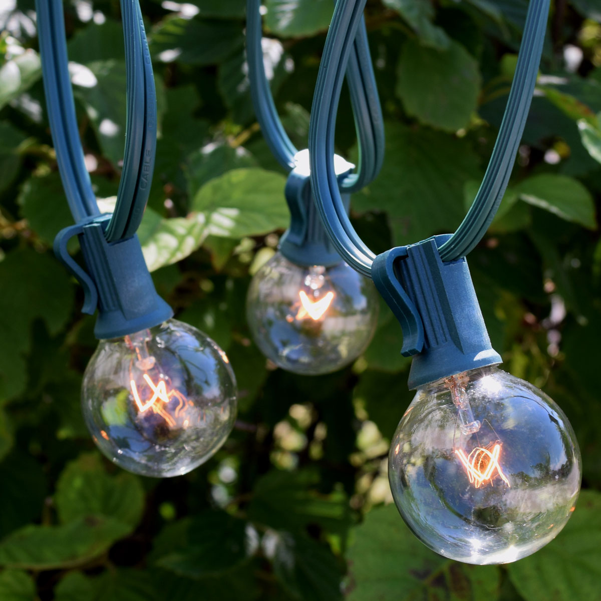 OogaLights 50 C7 Clear Globe String Lights Green Wire 5W G40 Bulbs