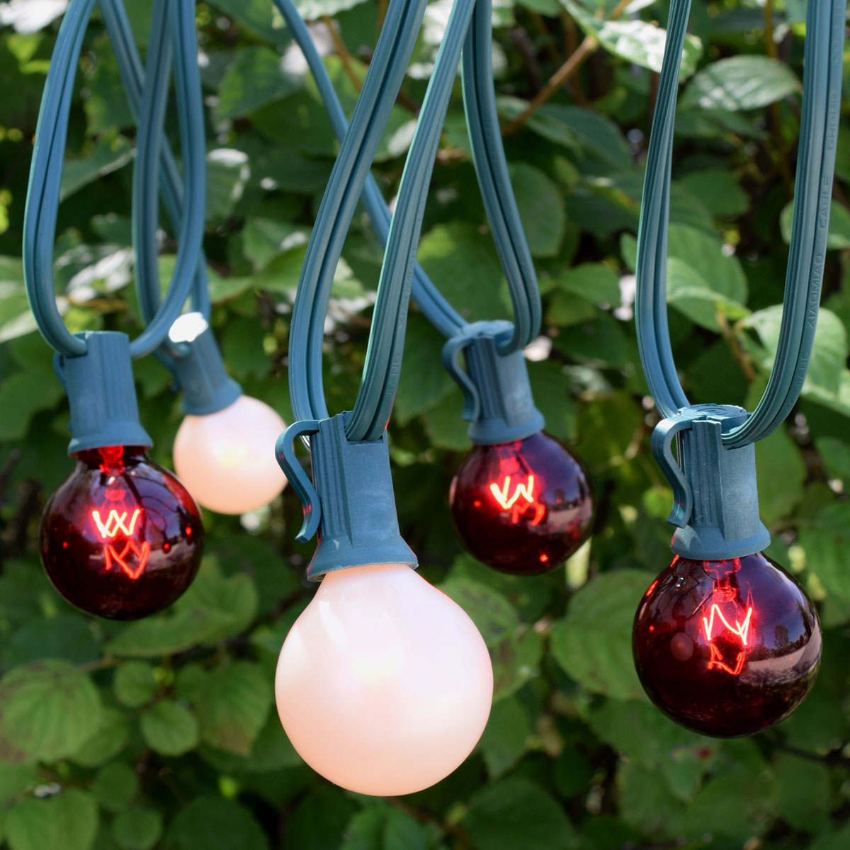 Christmas Lights - Commercial Cord and Bulb Kits