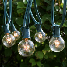 25' Clear Commercial Grade Globe String Lights