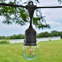 Medium Base Globe Light Kits