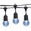 21' Cool White LED Globe Light Strand Kit - Black Wire