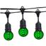 21' Green Designer LED Globe Light Strand Kit - Black Wire