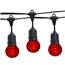 21' Red Designer LED Globe Light Strand Kit - Black Wire