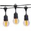 21' Sun Warm White Designer LED Globe Light Strand Kit - Black Wire