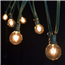 Clear Globe String Lights