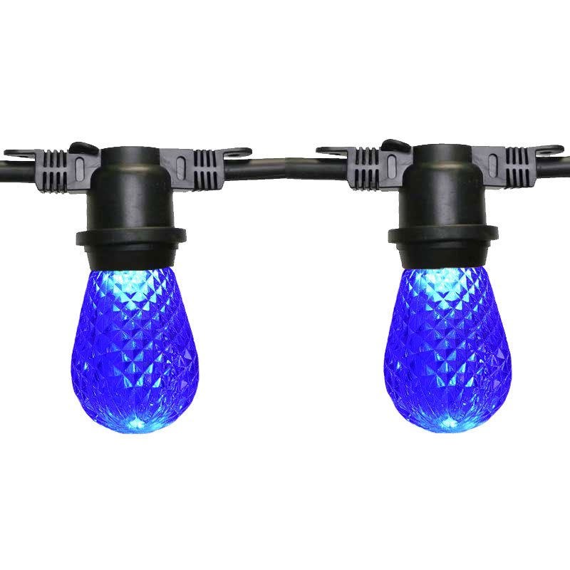 100' Blue LED Commercial Light Strand Kit