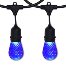 Blue LED 48' Suspended Commercial Light Strand