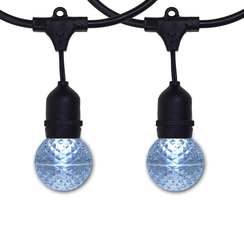 Cool White LED G50 Globe Lights - 48' Suspended Black Light Strand