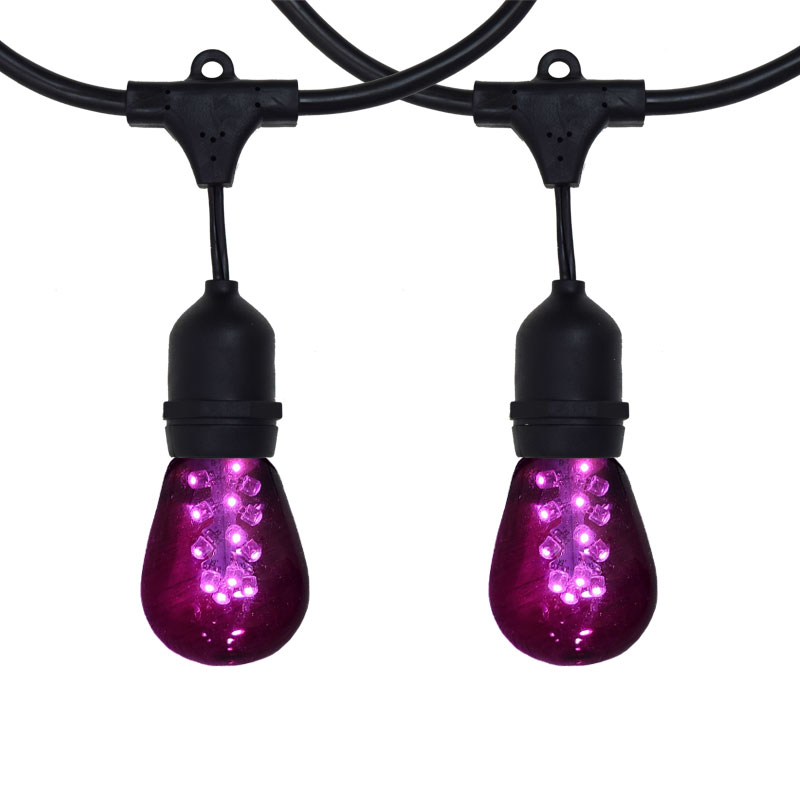 48' Purple LED Commercial Light Strand Kit - Suspended - Black - Glass LED 