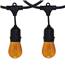 48' Amber Blast Suspended Vintage Light Strand