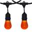 Amber LED Heavy Duty String Lights