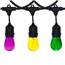 Mardi Gras Festive String Light Kit - 100 ft Black Suspended Strand