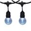 Cool White LED G50 Globe Lights - 48' Suspended Black Light Strand