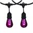 48' Purple LED Commercial Light Strand Kit - Suspended - Black - Glass LED 