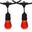 330' Red LED Black Suspened Light Strand Kit