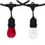 Santa Special Festive String Light Kit - 48 ft Suspended Red & White Light String