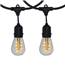 48' Warm White LED Commercial Light Strand Kit - Suspended - Black