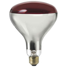 Red R40 Heat Light Bulb - 250W 501790