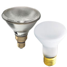 Flood Light Bulbs