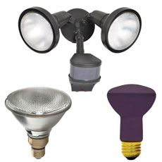 Flood Lights & Bulbs