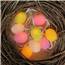 Pastel Easter Egg Party String Lights in a Nest