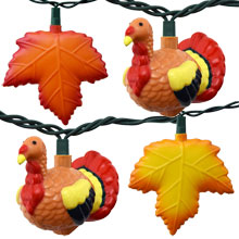 Party & String Lights for Holidays - Commercial Globe String Lights - Outdoor & LED