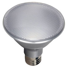 13W PAR30 Dimmable LED Floodlight Bulb 