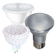 LED Flood Light Bulbs